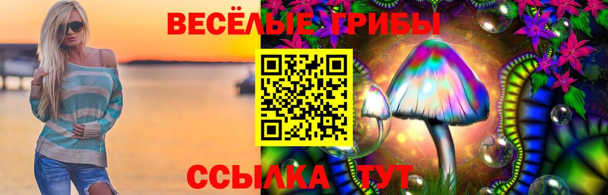 Галлюциногенные грибы GOLDEN TEACHER  купить закладку  Партизанск  Вход с VPN 